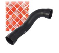 Ferdinand Bilstein Durite de radiateur 37135 gauche