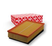 FEBI BILSTEIN 37320 Filtre à air pour OPEL Movano B Van (X62)