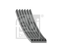 FEBI BILSTEIN 37654 Courroie Poly-V