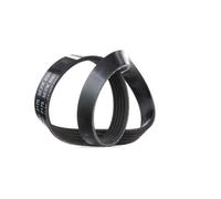 FEBI BILSTEIN 38241 Courroie Poly-V