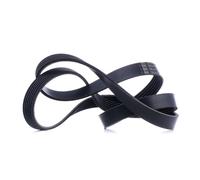 FEBI BILSTEIN 38247 Courroie Poly-V