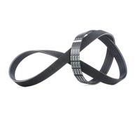 FEBI BILSTEIN 38424 Courroie Poly-V