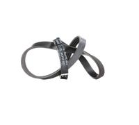 FEBI BILSTEIN 38444 Courroie Poly-V