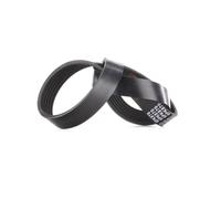 FEBI BILSTEIN 39802 Courroie Poly-V