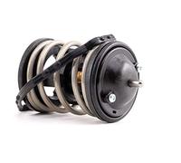 Febi Bilstein 44683 Thermostat (avec joint)