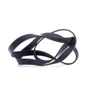 FEBI BILSTEIN 45239 Courroie Poly-V