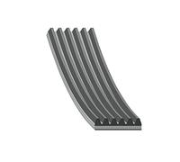 Febi bilstein Courroie trapézoïdale 45239 – 6 nervures