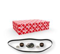 FEBI BILSTEIN 45966 Jeu de courroies trapézoïdales à nervures