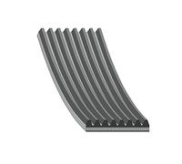 Febi bilstein 46581 Courroie auxiliaire, paquet de 1