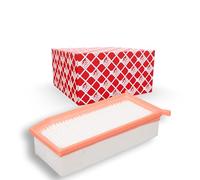 Ferdinand Bilstein Filtre à air 48480 - Cartouche filtrante pour Dacia Renault - 1 pièce