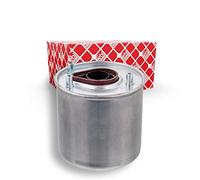 Febi bilstein 48548 Filtre à carburant
