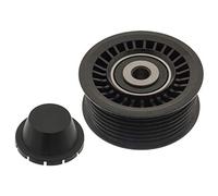 Febi bilstein 49367 Poulie de renvoi pour courroie auxiliaire, 1 pièce