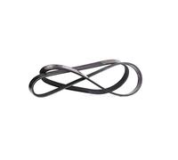 FEBI BILSTEIN Courroie Poly-V Courroie d'accessoire 28810