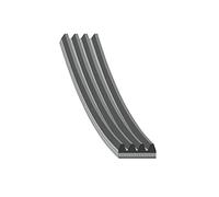 FEBI BILSTEIN Courroie Poly-V Courroie d'accessoire 40326