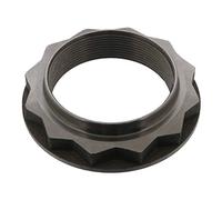 Febi bilstein Écrou 46180, lot de 1, Mère, Acier au carbone, ISO Metric, 1.0mm, Main droite, Classe 2A, Zinc, Hexagonal, NUTS