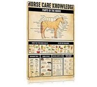 FEBIOAW Plaque infographique vintage en métal - Affiche de science animale - Connaissances en soins des chevaux pour l'école, la cuisine, la décoration d'intérieur - Éducation des enfants - Ferme et