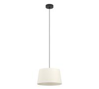 FEBRES Suspension