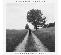 Federico Albanese Before and Now Seems Infinite (Vinyl) 12" Album