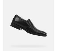 Federico Man - 43 1/2