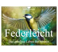 Federleicht - Das geheime Leben der Meisen (Wandkalender 2027 DIN A4 quer), CALVENDO Monatskalender: Federleicht durchs Jahr mit verschiedenen Meisenarten