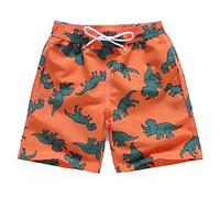 FedMois Short de Bain pour Garçon et Enfant Maillot de Bain avec Slip Intérieur en Filet Séchage Rapide, Dinosaures, 7-8 Ans
