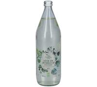 Depots Gener Pharma Fee Nature Seve De Bouleau 1L