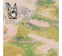 Feeble Little Horse - Girl with Fish [Import]
