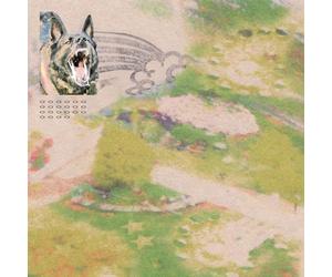 Feeble Little Horse - Girl With Fish (Sprinkle Splatter Vinyl Lp)