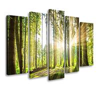 Feeby 5 pièces Impression sur Toile Intissee 100x70 cm Nature Forêt Arbres Tableau Moderne Tableau Photo Chambre à Coucher Plantes Litière Rayons du soleil vert