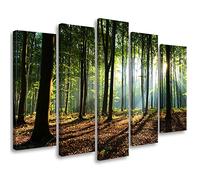 Feeby 5 pièces Impression sur Toile Intissee 200x100 cm Forêt Arbres Nature Tableau Moderne Tableau Photo Chambre à Coucher Lumière du soleil Litière Plantes vert