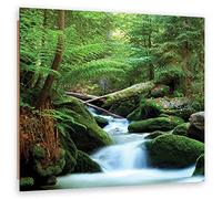 Feeby Décoration murale Cascade Chute d'eau Ruisseau Eau 40x40 cm Tableau Photo Nature Forêt Arbres Roches vert