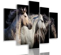Feeby Frames, Tableau multi panneau 5 parties, Tableau imprimé xxl, Tableau imprimé sur toile, Tableau deco, Pentaptyque Type A, 150x100 cm, CHEVAUX, ANIMAUX, NATURE, NOIR, BLANC
