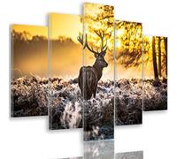 Feeby Frames, Tableau multi panneau 5 parties, Tableau imprimé xxl, Tableau imprimé sur toile, Tableau deco, Pentaptyque Type A, 200x100 cm, CERF, ANIMAUX, CORNES, FORÊT, NATURE