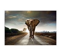 Feeby Frames, Tableau seul panneau, Tableau imprimé xxl, Tableau imprimé sur toile, Tableau deco, Canvas 40x50 cm, ÉLÉPHANT, BRUN, GRIS, VERT