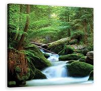 Feeby Impression sur toile Cascade Eau Ruisseau Chute d'eau 50x50 cm Tableau moderne Forêt Arbres Roches Nature vert