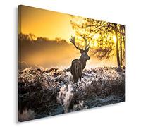 Feeby Impression Sur Toile Cerf Animaux 60x40 cm 1 pièce Tableaux Tableau Mural Image Moderne Photo Décoration Murale Artistique Photographie Design Chambre Salon Cuisine Cornes Forêt Nature