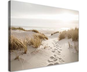 Feeby - Impression sur Toile - Chambre Salon - Plantes marines de plage dunes nature - 115x70 1partie - Tableau Mural Intissé - Peintures sur Toile pour la Maison - Modern canvas Pictures