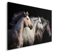 Feeby Impression Sur Toile Chevaux Animaux XXL 120x80 cm 1 pièce Tableaux Tableau Mural Image Moderne Photo Décoration Murale Artistique Photographie Design Chambre Salon Cuisine Nature Noir Blanc
