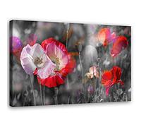 Feeby Impression sur toile coquelicots Tableau moderne fleurs rouge 60x40 cm