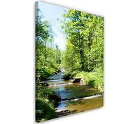 Feeby Impression sur Toile Intissé Cascade Paysage Journée ensoleillée Stream 60x90 cm Image décoration Murale Design Chambre d'enfant Nature Arbres Plantes Forêt vert