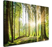 Feeby Impression sur Toile Intissé Forêt Arbres Nature 45x30 cm Image Moderne Tableau Déco Mural Salle De Séjour Litière Rayons de soleil Plantes vert