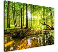 Feeby Impression sur Toile Intissé Forêt Nature Arbres 90x60 cm Image décoration Murale Design Chambre d'enfant Rayons du soleil Racines Ruisseau vert