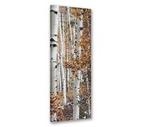 Feeby Impression sur Toile Intissé Nature 30x90 cm Image Moderne Tableau Déco Mural Salle De Séjour Forêt De Bouleaux beige
