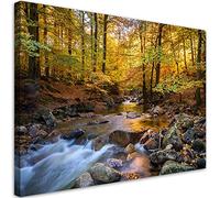 Feeby Impression sur Toile Intissee Arbres Forêt Nature Blocs rocheux 120x80 cm Art Image Deco Artistique Salon Esthétique Plantes Cascade Herbe Ruisseau orange