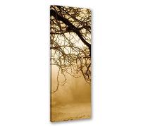 Feeby Impression sur Toile Intissee Clairière De La Forêt 60x150 cm Image Photo Graphique Tableux Couloir Brume Nature jaune