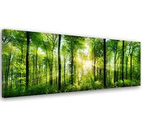 Feeby Impression sur Toile Intissee Forêt Nature 70x25 cm Image Photo Graphique Tableux Couloir Rayons De Soleil Entre Les Arbres vert