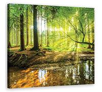 Feeby Impression sur Toile Intissee Nature Ruisseau Arbres Forêt 50x50 cm Tableau Moderne Tableau Photo Chambre à Coucher Lumière Rayons du soleil Racines vert