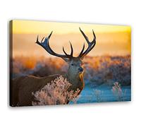 Feeby Impression sur Toile Intissee Pré Cerf Biche Bois 60x40 cm Tableau Moderne Tableau Photo Chambre à Coucher Les plantes La nature Animal sauvage Coucher de soleil marron