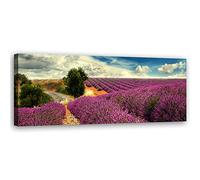 Feeby Impression sur Toile Intissee Route Lavande Provence 150x50 cm Tableau Moderne Tableau Photo Chambre à Coucher Nature Pré Ciel violet