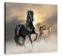 Feeby Impression sur toile Nature Nuages noirs Chevaux au galop 50x50 cm Tableau moderne Coucher de soleil Animaux Sable noir